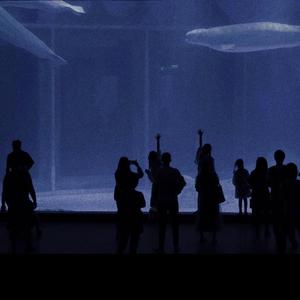 13岁小女孩免费观看电视剧
