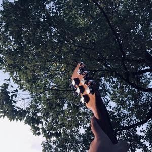 13岁小女孩免费观看电视剧
